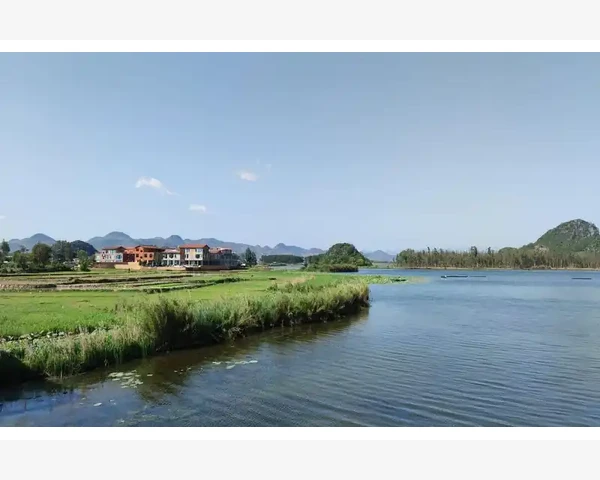 中医调理：孩子肝气不舒与脾胃运化不良的调养方法