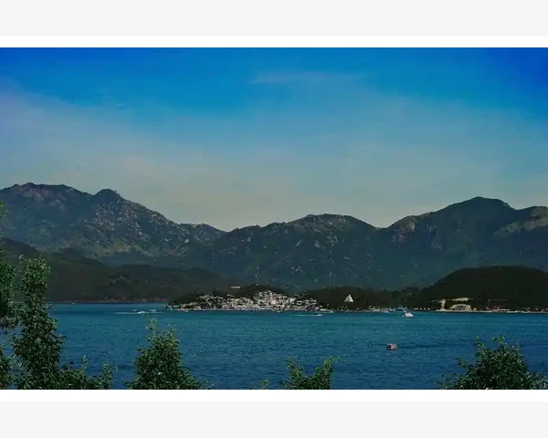 B2B开户全流程新手必读手册